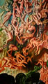 Michael Hensley Paintings, Descent 9